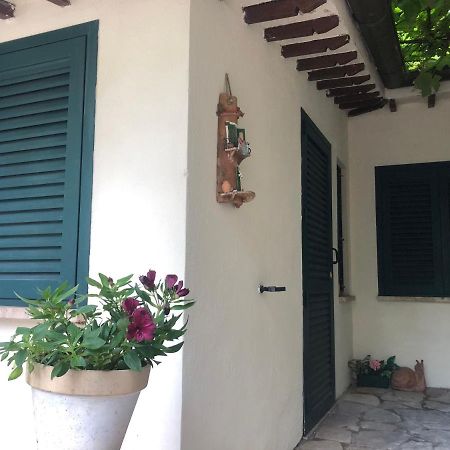 بيرودجا B&B Uva Fragola المظهر الخارجي الصورة