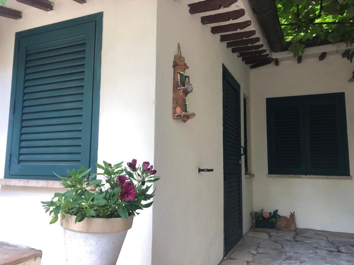 بيرودجا B&B Uva Fragola المظهر الخارجي الصورة